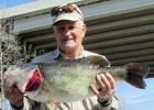 Robert Whitehead of Austin caught Toyota ShareLunker 555 from Lake Austin Feb. 21. The fish weighed 13.19 pounds and was 27.28 inches long and 19.84 inches in girth.