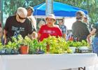 A Master Gardeners educational event and plant sale will be held Saturday In Georgetown.