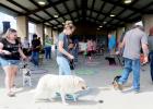 CCLP/BRITTANY FHOLER - Dogs and their owners walked around in a circle for a Cakewalk at the 3rd annual Pawzapalooza Paws and Bras held Saturday afternoon at Ogletree Gap.