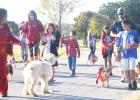CCLP/BRITTANY FHOLER - The Gibson family and their five corgis interact with a dog dressed as Bill Clinton and his owner who was dressed as Hillary Clinton on the 1-mile route dog walk at the Howl O Ween Puppy Palooza held at Copperas Cove City Park Saturday morning.