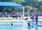 CCLP/BRITTANY FHOLER - Dogs got to splash around in the pool at the 2nd annual Howl-O-Ween Puppy Palooza held at Copperas Cove City Park Saturday morning.