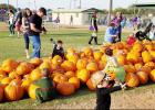 CCLP/PAMELA GRANT - Children pick out pumpkins at the Copperas Cove Fall-O-Ween Festival in City Park.