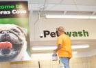 CCLP/LYNETTE SOWELL - A painter touches up the sign for the pet washing station at Pet Supplies Plus. The stores opens its doors today at 9 a.m.