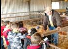 CCISD/Courtesy Photo - CCHS FFA member Colton Christman shares information about one of his livestock projects with CCISD gifted education first graders during a field trip to the CCISD Agriculture Barn. Christman raises chickens and hogs.