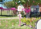 Courtesy Photo - The front lawn and entry of Clear Creek Meadows apartments was decked out in pink for last year’s Pink Out the Town held by Pink Warrior Angels. Registration for the 2016 contest is going on now.