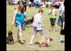 File Photo - Dogs and their owners participate in the Doggy Walk at the 2015 Pawzapalooza at Ogletree Gap. This year’s event is set for Sept. 24.