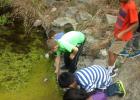 COURTESY PHOTO CCISD 2nd graders wade into the creek to collect aquatic critters and predict water quality in the urban waterway at Barton Springs which is fed by a natural aquifer.