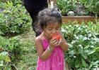 Kimberly Esparza’s face expresses her approval of the taste of tomatoes eaten right off the vine at a community garden project at the Alamo Community Center. Kimberly was with her mother, Erica Esparza of Alamo, who was checking on the family’s garden. Vegetable gardening classes will be held Aug. 11-14.