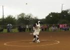 The Chick-Fil-A cow throws out the first pitch, ushering in the softball season in the inclement weather Monday evening.